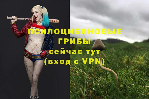 стаф Михайловск