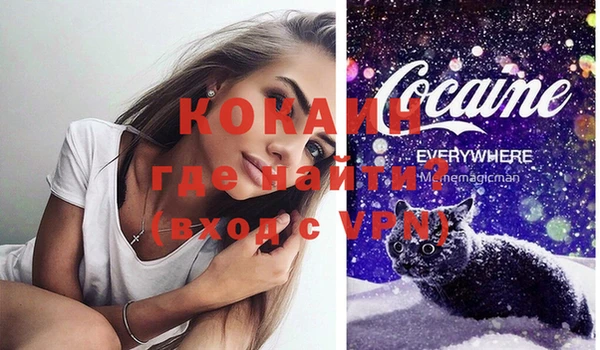 гашик Надым