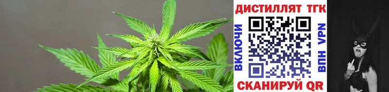 Дистиллят ТГК концентрат  Яровое 