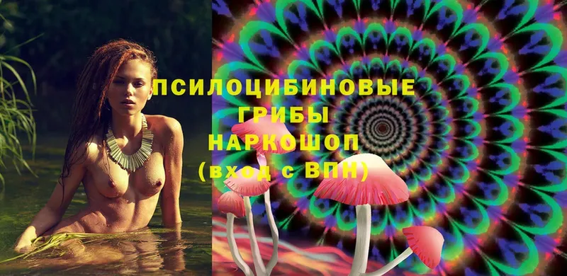 что такое   Яровое  Галлюциногенные грибы MAGIC MUSHROOMS 