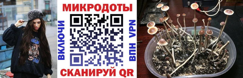 Псилоцибиновые грибы Magic Shrooms  Яровое 